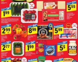 Circulaire Maxi 25.12.2025