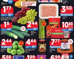 Circulaire Maxi 02.04.2026