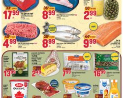 Circulaire Adonis 02.04.2026