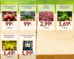 Fruiterie 440 Circulaire