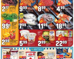 Circulaire Adonis 23.04.2026