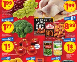 Circulaire Maxi 23.04.2026