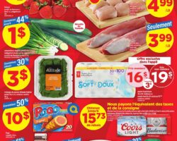 Circulaire Maxi 30.04.2026