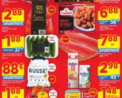 Circulaire Maxi 16.04.2026