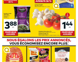 Circulaire Tigre Géant 15.04.2026