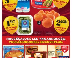 Circulaire Tigre Géant 22.04.2026