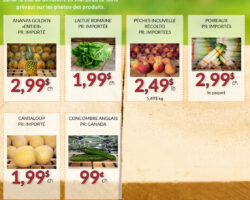 Fruiterie 440 Circulaire