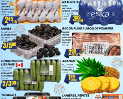 Euromarché Circulaire