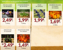 Fruiterie 440 Circulaire