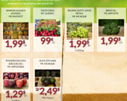 Fruiterie 440 Circulaire