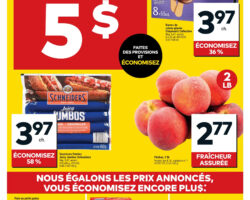 Circulaire Tigre Géant 17.06.2026