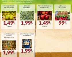 Fruiterie 440 Circulaire