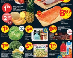 Circulaire Maxi 27.08.2026