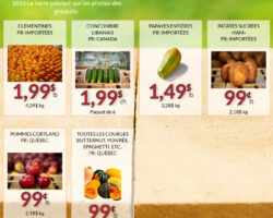 Fruiterie 440 Circulaire