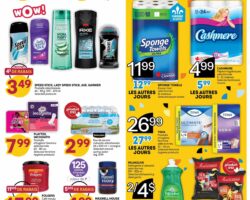 Brunet Circulaire 08.10.2026